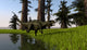 Yangchuanosaurus Running through Swamp Wall Decal