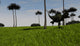 Yangchuanosaurus Running across Grassy Wall Decal Design 1