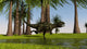 Yangchuanosaurus Running through Swampy Wall Decal