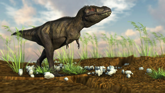 Tyrannosaurus Rex Walking across Wall Decal Design 4