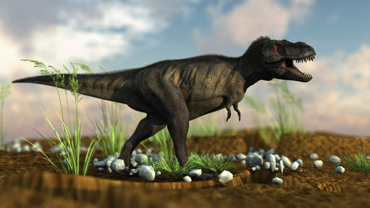 Tyrannosaurus Rex Walking across Wall Decal Design 3