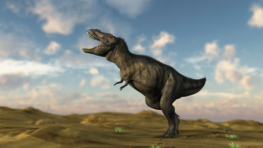 Tyrannosaurus Rex Desert Terrain Wall Decal