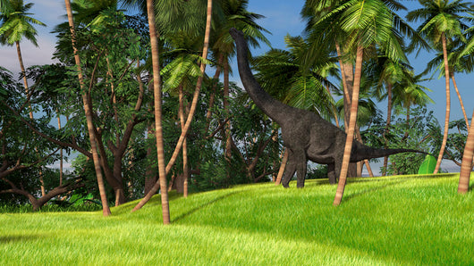 Large Brachiosaurus Grazing Palm Wall Decal