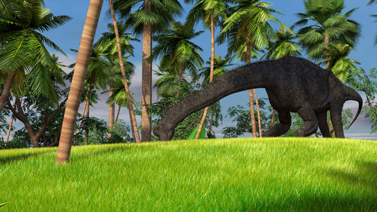 Large Brachiosaurus Grazing Tropical Wall Decal Design 1