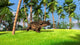 Brown Einiosaurus Walking across Wall Decal Design 1