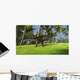 Tyrannosaurus Rex Grassy Field Wall Decal Design 3