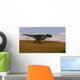 Tyrannosaurus Rex Walking across Wall Decal Design 1