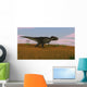 Tyrannosaurus Rex Walking across Wall Decal Design 1