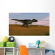 Tyrannosaurus Rex Walking across Wall Decal Design 1