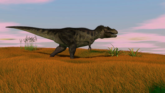 Tyrannosaurus Rex Walking across Wall Decal Design 1