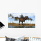 Tyrannosaurus Rex Standing Shoreline Wall Decal