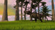 Tyrannosaurus Rex Grassy Field Wall Decal Design 2