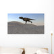Tyrannosaurus Rex Running across Wall Decal Design 2