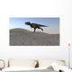 Tyrannosaurus Rex Running across Wall Decal Design 2