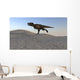 Tyrannosaurus Rex Running across Wall Decal Design 2