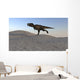 Tyrannosaurus Rex Running across Wall Decal Design 2
