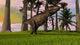Tyrannosaurus Rex Hunting Grasslands Wall Decal Design 1