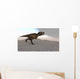 Tyrannosaurus Rex Running across Wall Decal Design 1