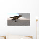 Tyrannosaurus Rex Running across Wall Decal Design 1