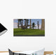 Tyrannosaurus Rex Grassy Field Wall Decal Design 1