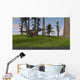 Tyrannosaurus Rex Grassy Field Wall Decal Design 1