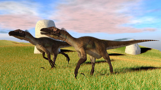 Pair Utahraptors Grassy Field Wall Decal