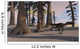 Utahraptor Prehistoric Environment Wall Decal Design 2