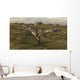 Three Utahraptors Running across Wall Decal Design 1