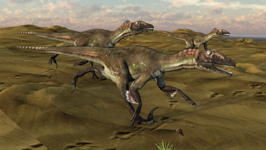 Three Utahraptors Running across Wall Decal Design 1