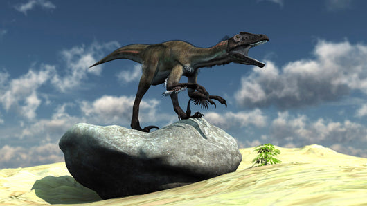 Utahraptor Bellows Loud Roar Wall Decal Design 1