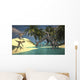 Two Large Brachiosaurus Grazing Wall Decal Design 1
