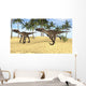 Two Utahraptors Prehistoric Environment Wall Decal
