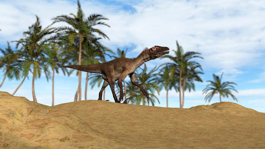 Utahraptor Walking Prehistoric Environment Wall Decal