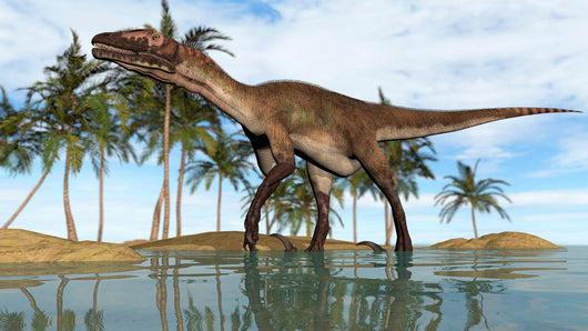 Utahraptor Standing Shallow Water Wall Decal