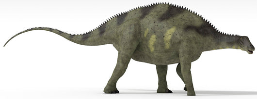 Brachytrachelopan Dinosaur White Wall Decal Design 3