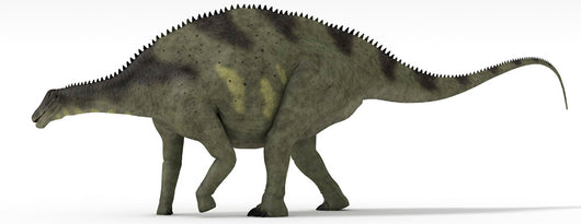 Brachytrachelopan Dinosaur White Wall Decal Design 2