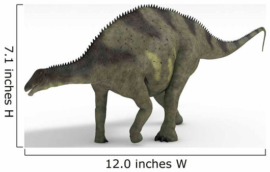 Brachytrachelopan Dinosaur White Wall Decal Design 1