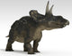Triceratops Dinosaur White Wall Decal Design 4