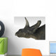 Triceratops Dinosaur White Wall Decal Design 2