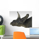 Triceratops Dinosaur White Wall Decal Design 2