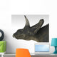 Triceratops Dinosaur White Wall Decal Design 2