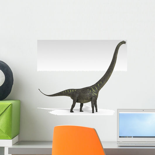 Mamenchisaurus Dinosaur White Wall Decal