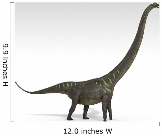 Mamenchisaurus Dinosaur White Wall Decal