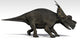 Achelousaurus Dinosaur White Wall Decal Design 2