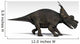 Achelousaurus Dinosaur White Wall Decal Design 2