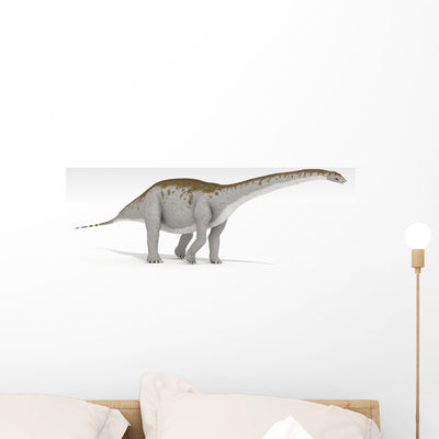 Apatosaurus Dinosaur White Wall Decal Design 3 shown on a wall