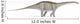 Apatosaurus Dinosaur White Wall Decal Design 1