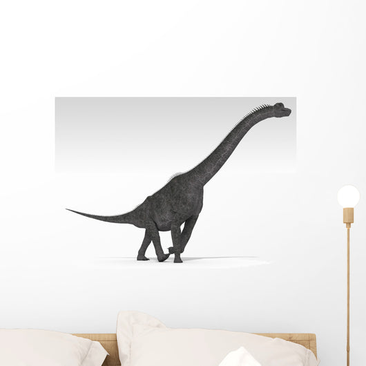 Brachiosaurus Dinosaur White Wall Decal Design 5