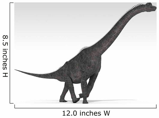 Brachiosaurus Dinosaur White Wall Decal Design 5