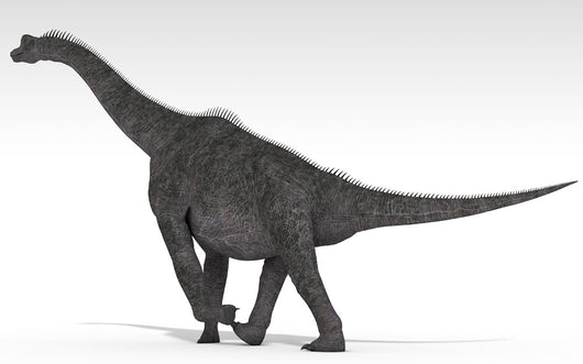 Brachiosaurus Dinosaur White Wall Decal Design 4